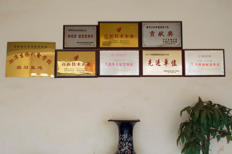 資質(zhì)榮譽